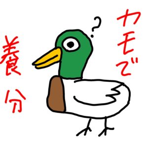 カモで養分 イラスト パパスロ